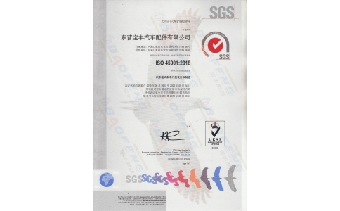 ISO45001认证中文版